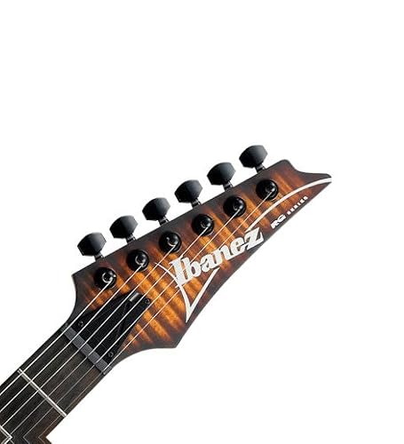 Amazon.com: Ibanez RGA Series RGA42FM - Dragon Eye Burst Flat